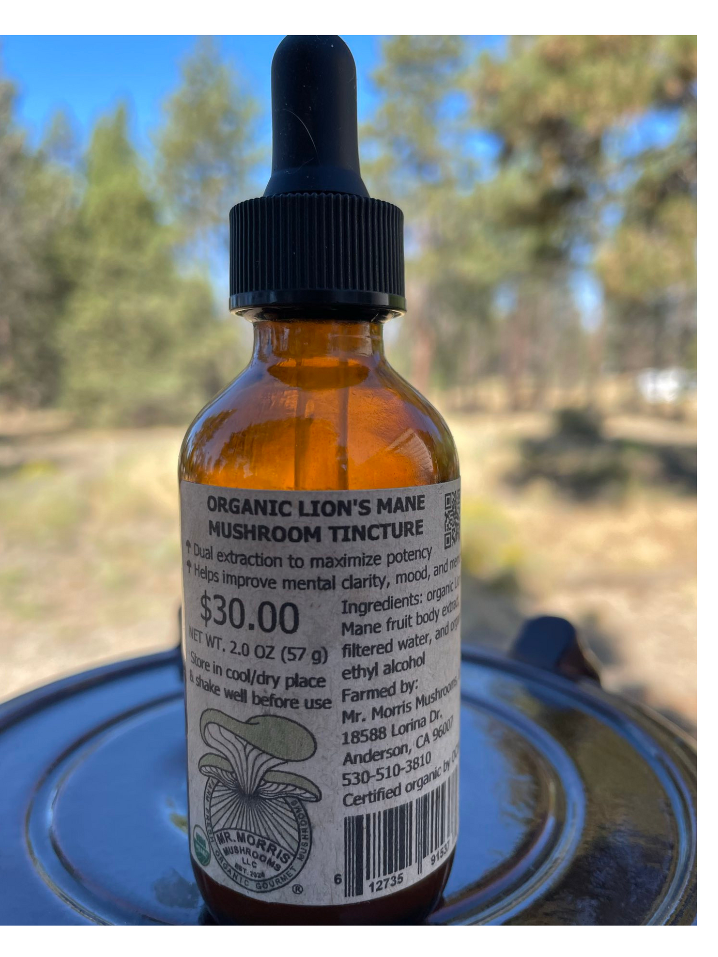 Organic Lion's Mane
