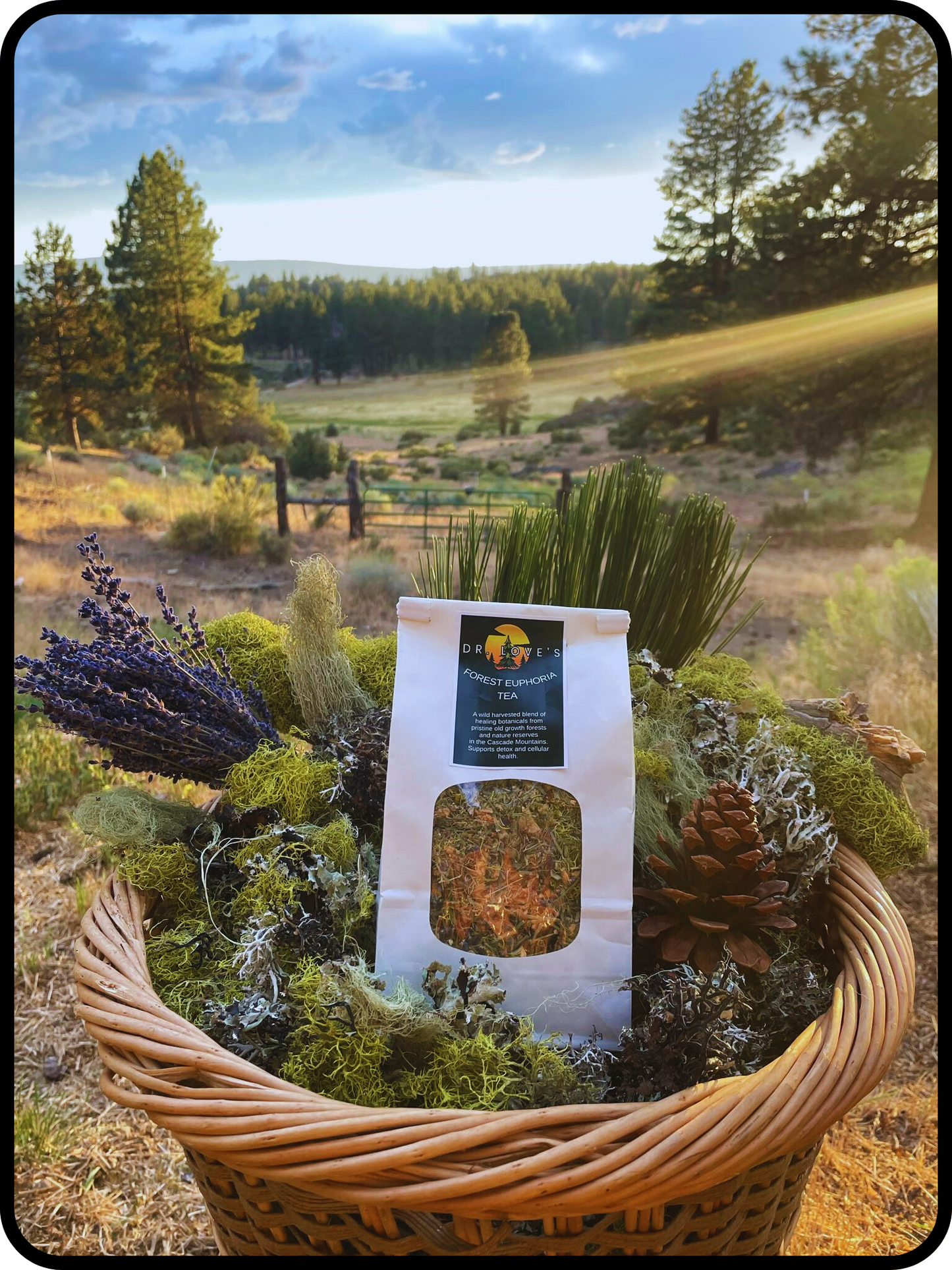 Forest Euphoria Tea